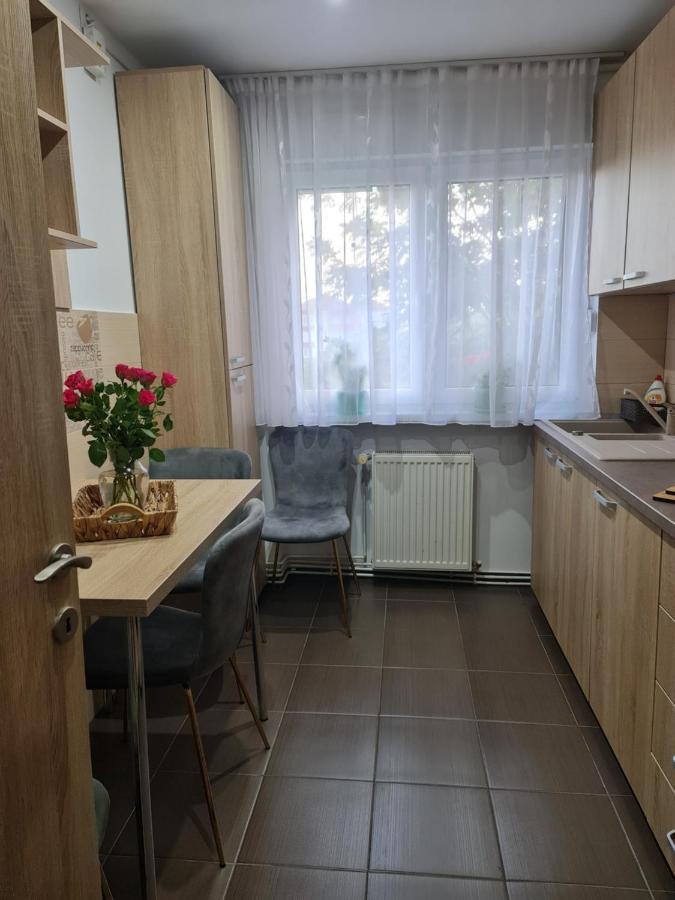 Apartament Modern Cristina&Jessica Медиаш Экстерьер фото