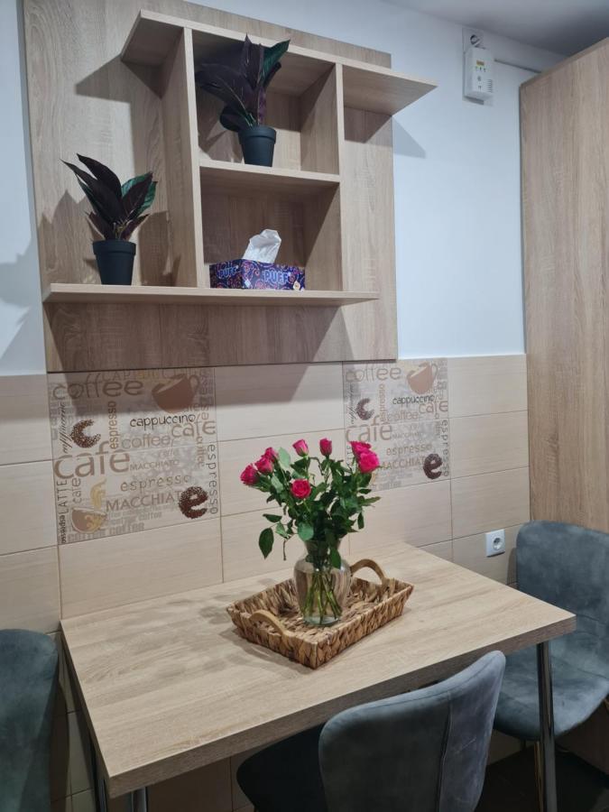 Apartament Modern Cristina&Jessica Медиаш Экстерьер фото