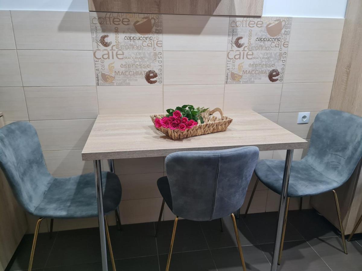 Apartament Modern Cristina&Jessica Медиаш Экстерьер фото