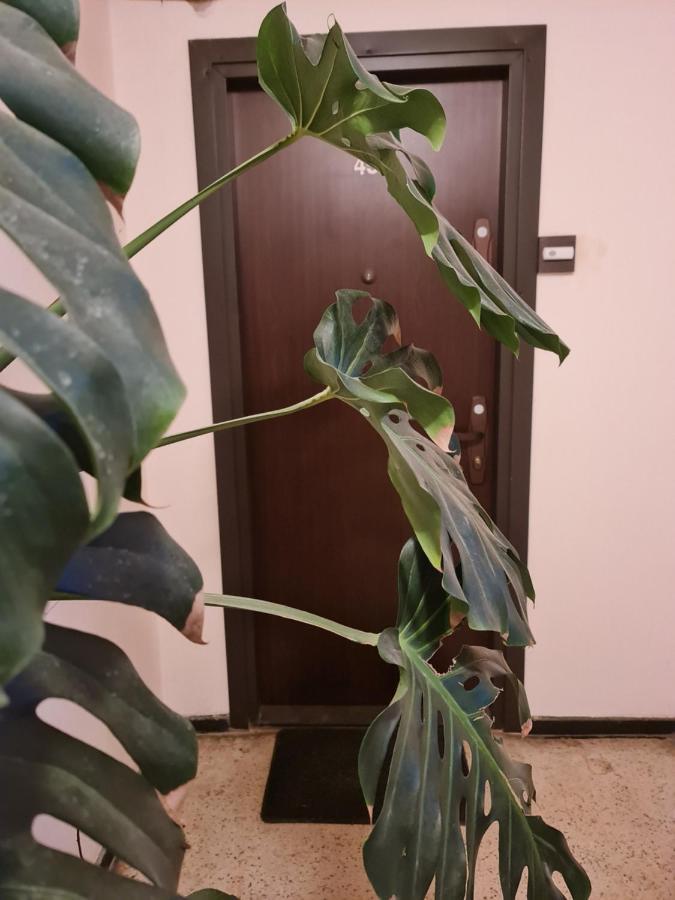 Apartament Modern Cristina&Jessica Медиаш Экстерьер фото