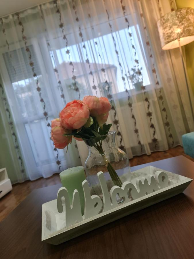 Apartament Modern Cristina&Jessica Медиаш Экстерьер фото