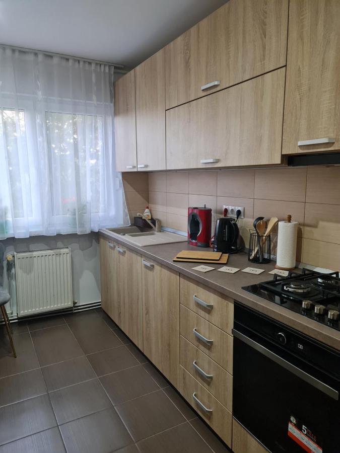 Apartament Modern Cristina&Jessica Медиаш Экстерьер фото